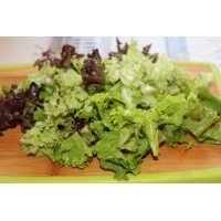 Как приготовить салат из свежей зелени