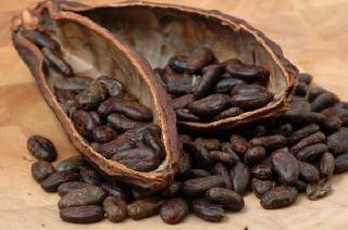 Дефицит какао бьёт по крупнейшим производителям