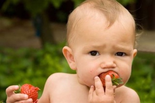 Овощи и фрукты, полезные для детей до года