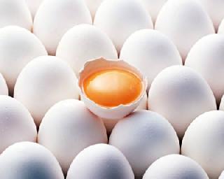 Яйца не повышают уровень холестерина