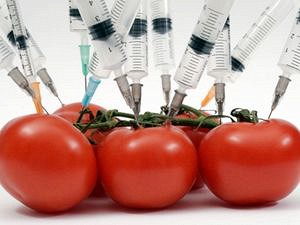 Возможный запрет на ГМО в России