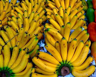 "Улучшенные" бананы спасут от дефицита витамина А