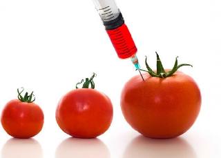 Маркировка продуктов с ГМО станет обязательной