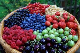 berries.png